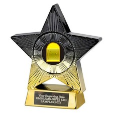 Shove Ha'penny Superstar Award