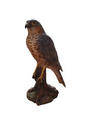 Vivid Arts Sparrow Hawk Resin