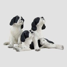 Springer spaniel pups - pups, (three)