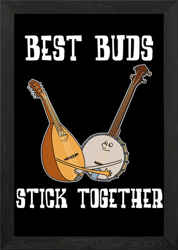 Banjo mandolin bluegrass - mandolin,