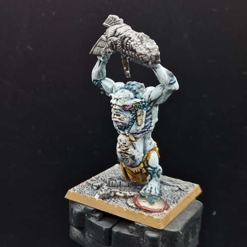 Pro painted warhammer fantasy - pro,
