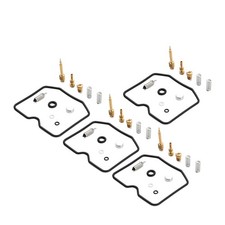 Carburetor Repair Kit Pilot