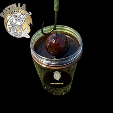 Catzilla hook bait “dip n