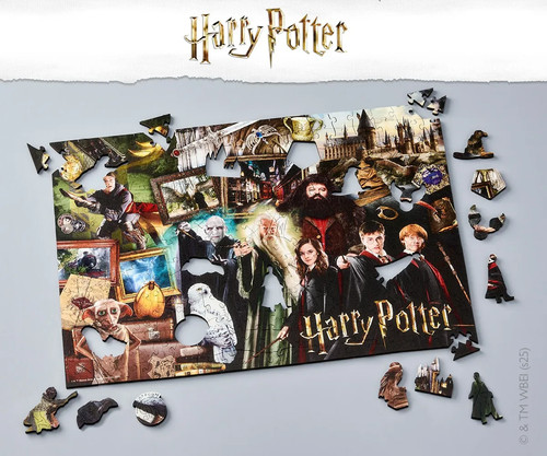 The wizarding world 500 - wizarding,