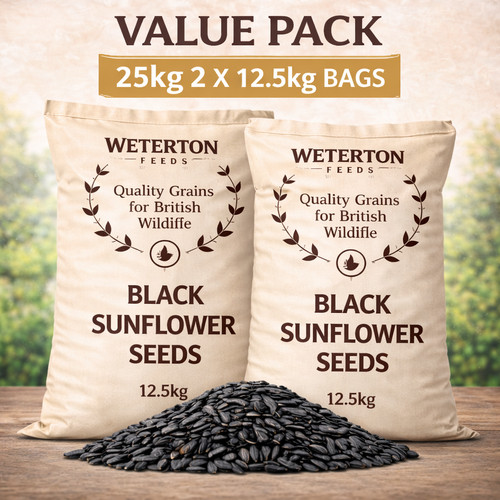 Black sunflower seeds 25kg - black, (2