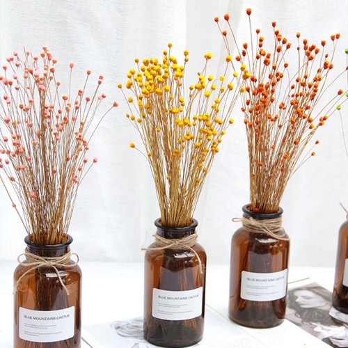 50x real happy flower small - 50x,