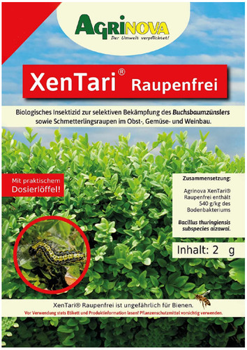 Box hedge moth - box, buxus