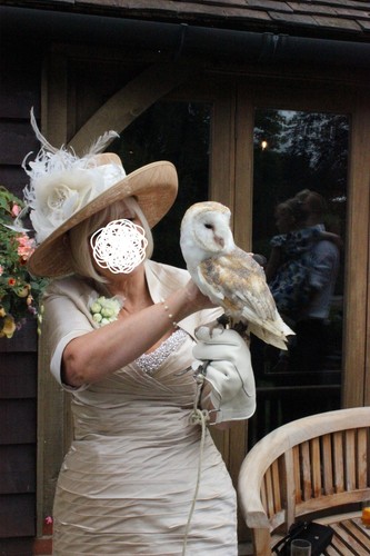 Mother the brides dress - brides,