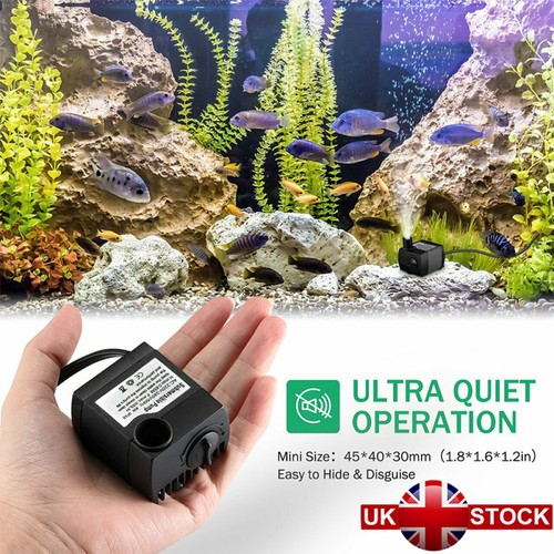 Plug electric water - -,