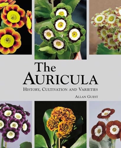 The auricula history - the,