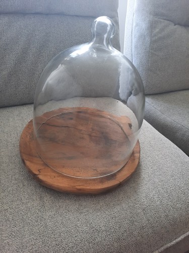 Glass cheese dome - glass,