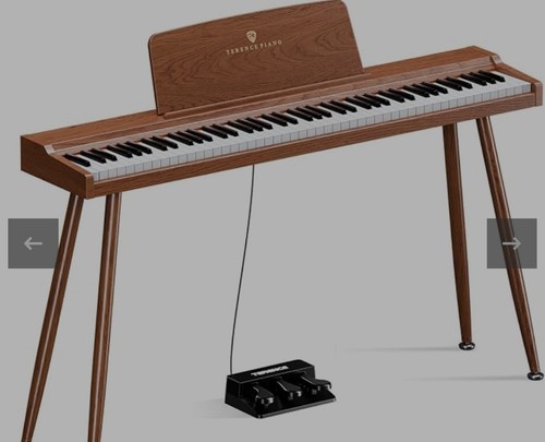 Terence p10 weighted keyboard - terence,