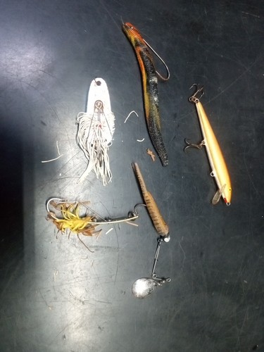 Vintage rapala fishing - vintage, lure