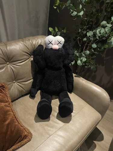 Kaws bff extra - kaws,