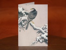 Goshawk on Snow-covered Pine