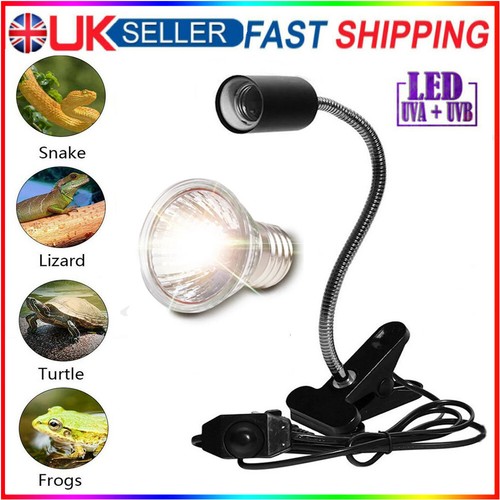 Dimmable reptile heat - heat, lamp