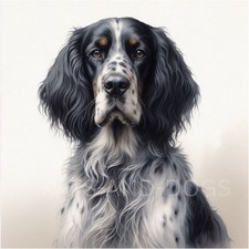 ENGLISH SETTER dog Watercolour