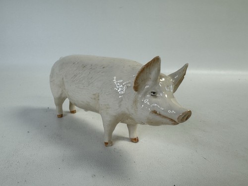 Pig champion boy - champion, figurine