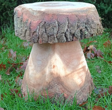 Oak mushroom stool, wooden
