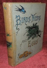 BIRDS NESTS AND EGGS BY REV. C.A. JOHNS - C. 1892