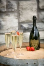 Plastic Champagne Flutes 180ml