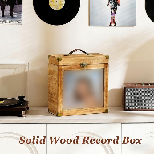 Wooden vinyl record - vinyl, storage