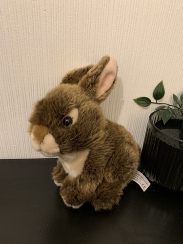 Anna club plush bunny - plush,