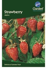 Garden Treasures Fresh Herbs