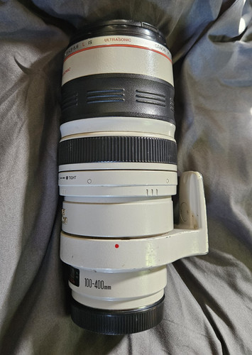 Canon 100 400mm - canon, f/4.5-5.6l