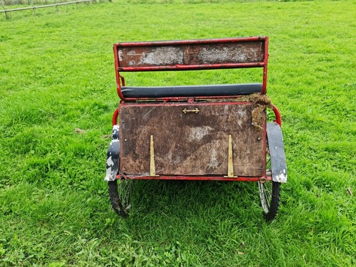 Exercise horse cart - exercise,