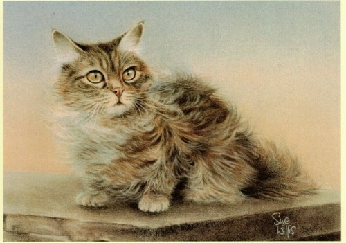 Sue willis zoe - –, ,cat