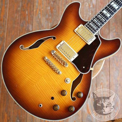 Ibanez artist 200 john - artist,