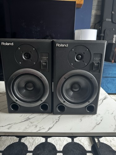 Roland amp 2 way bass - roland, bi-amp