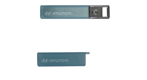 Genuine key fob - key, case