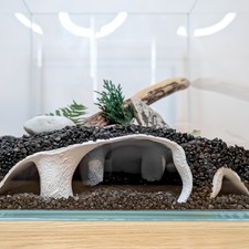 Large Aquarium Cave Hide for Betta, Shrimp, Cory – Fish Tank Tunnel Decor