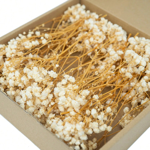 50pcs mini gypsophila - 50pcs, dried