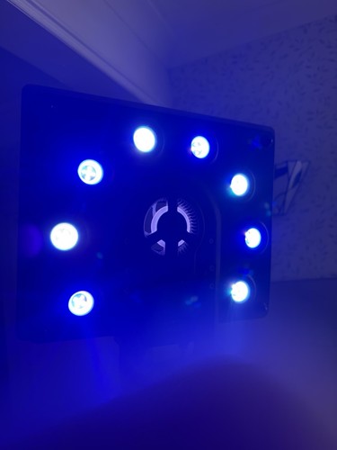 Maxspect ethereal led - maxspect, aquarium