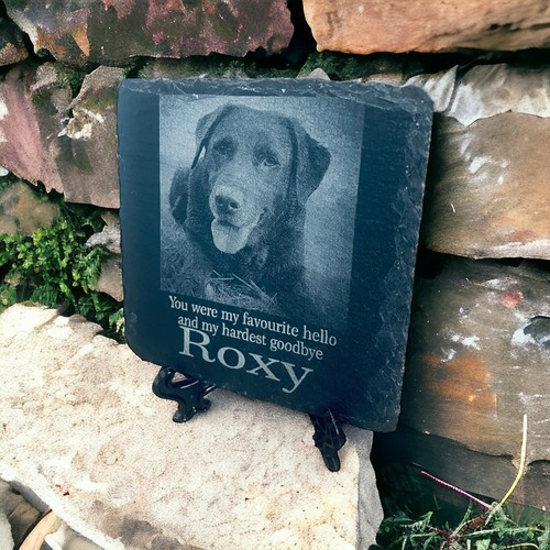 Grave stone dog - grave, keepsake