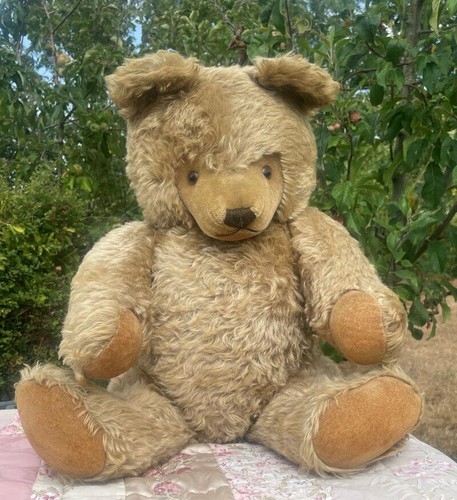 Large old steiff - old,