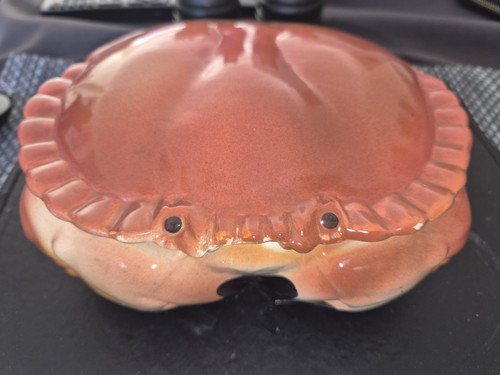 Porcelain crab michel - crab,