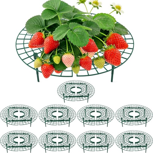 Stable strawberry support - stable,