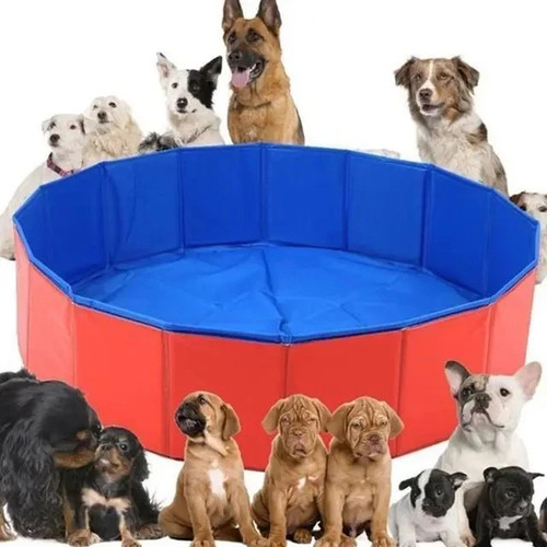 Large pet bath dog - xx-large,