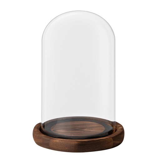 Glass display cloche - cloche, bell