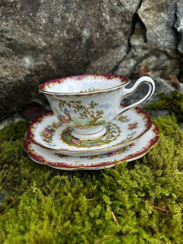 Royal albert maroon chelsea - albert,