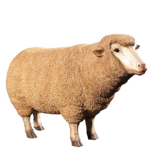 105cm life size merino ewe - size,