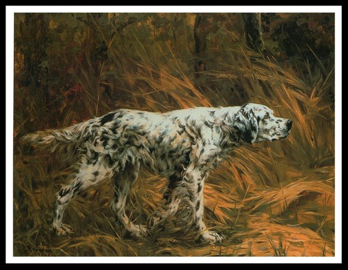 English setter lovely dog - english,