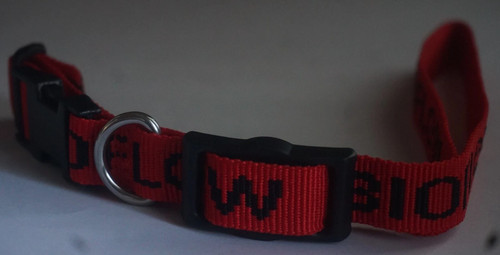 Bioflow magnetic dog - magnetic, collar