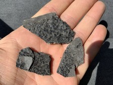Rare Fossil Fish Scale