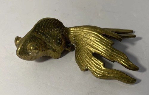 Brass fancy fantail - fancy, goldfish