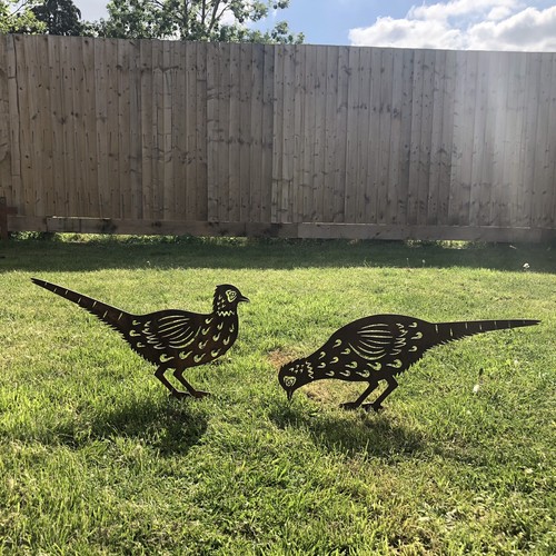 Rusty metal birds - 2, pheasant